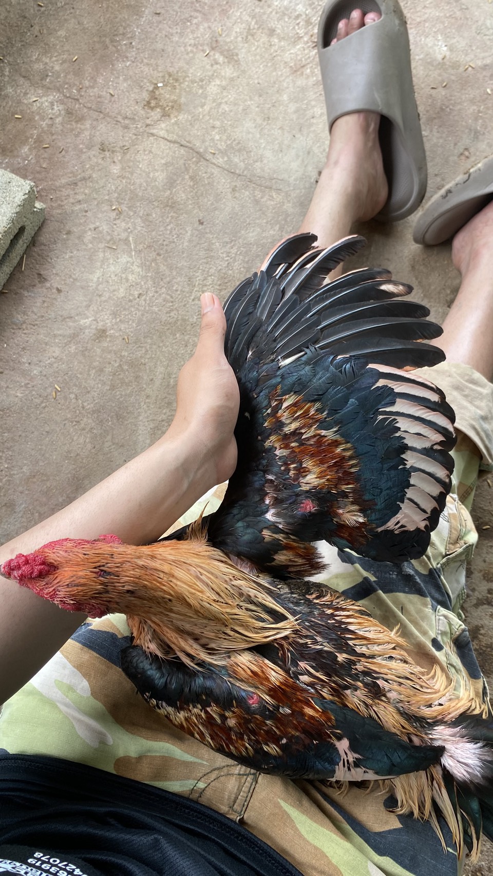 โย หนุ่ม(คัดผ่าน) ภาพที่ 2